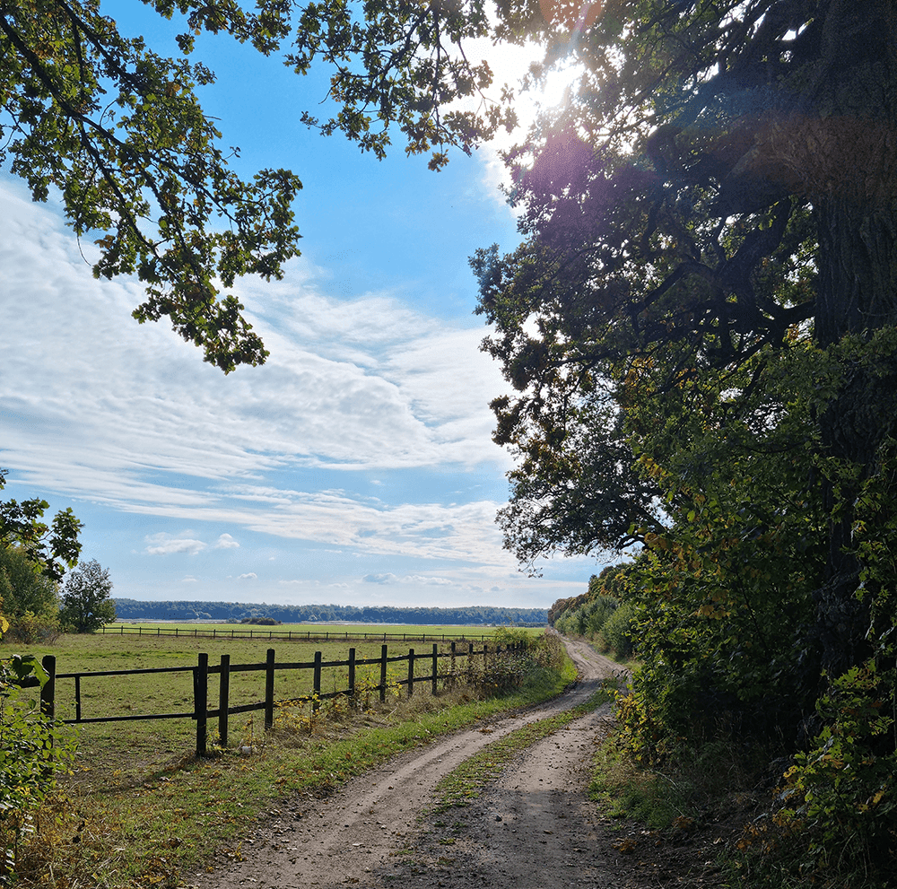 Foto på hagmarker vid Strömsholm