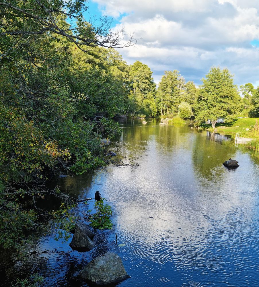 foto på ett vattendrag