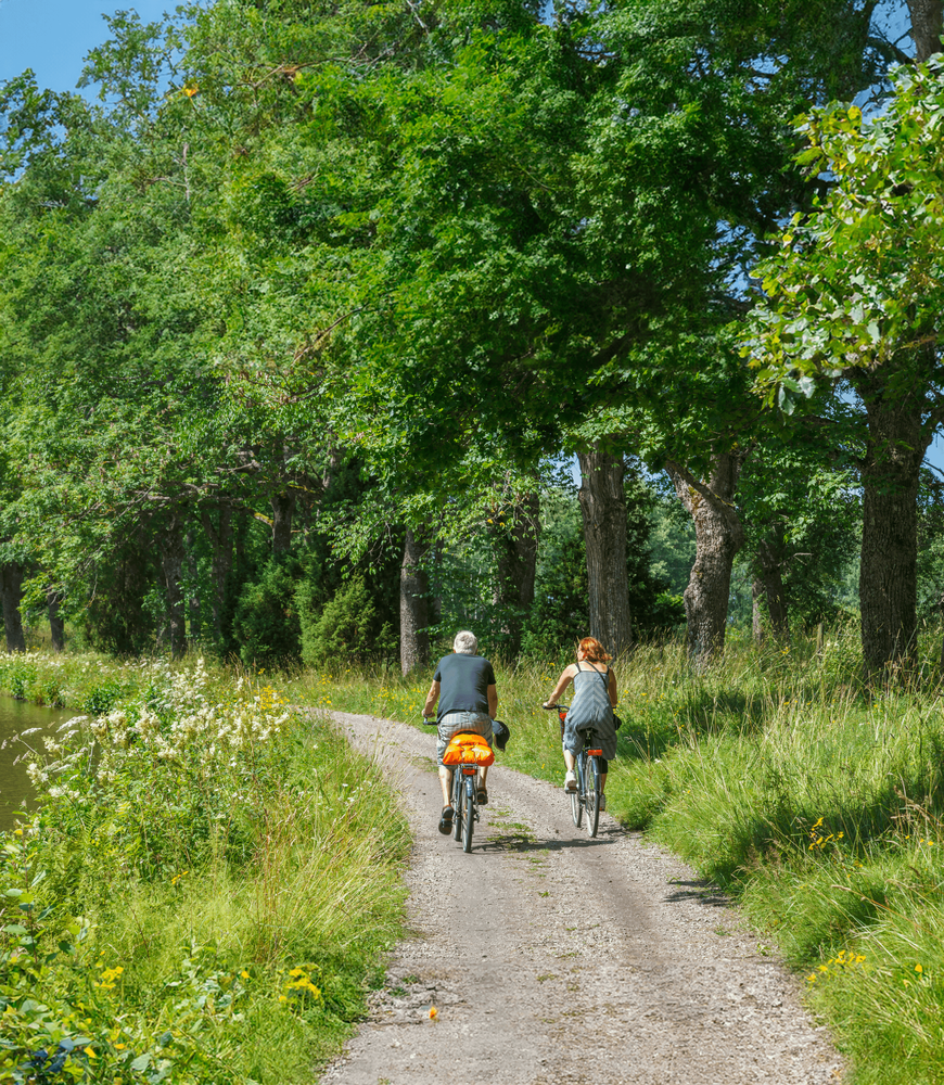 Foto på två personer som cyklar på en grusväg mellan en trädallé och en sjö.