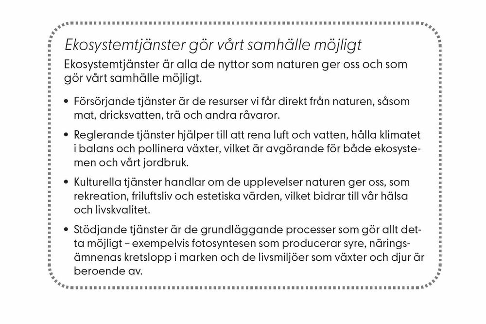 Ekosystemtjänster är alla de nyttor som naturen ger oss och som gör  vårt samhälle möjligt.  • Försörjande tjänster är de resurser vi får direkt från naturen, såsom mat,  dricksvatten, trä och andra råvaror.  • Reglerande tjänster hjälper till att rena luft och vatten, hålla klimatet i  balans och pollinera växter, vilket är avgörande för både ekosystemen  och vårt jordbruk.  • Kulturella tjänster handlar om de upplevelser naturen ger oss, som rekreation, friluftsliv och estetiska värden, vilket bidrar till vår hälsa och  livskvalitet.  • Stödjande tjänster är de grundläggande processer som gör allt detta  möjligt – exempelvis fotosyntesen som producerar syre, näringsämnenas kretslopp i marken och de livsmiljöer som växter och djur är beroende av. 