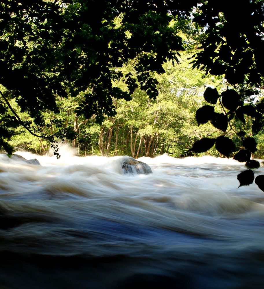 Bild på forsande vatten i Sörkvarnsforsen.