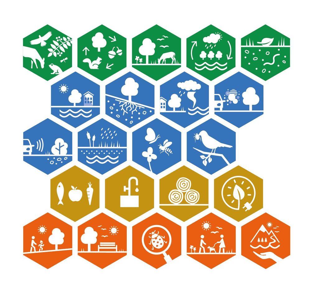 Ikoner på ekosystemtjänster, Boverket. 