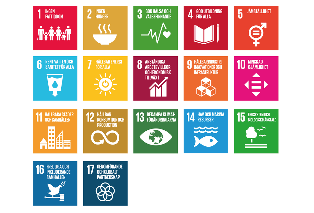 Bilden visar de 17 globala målen.