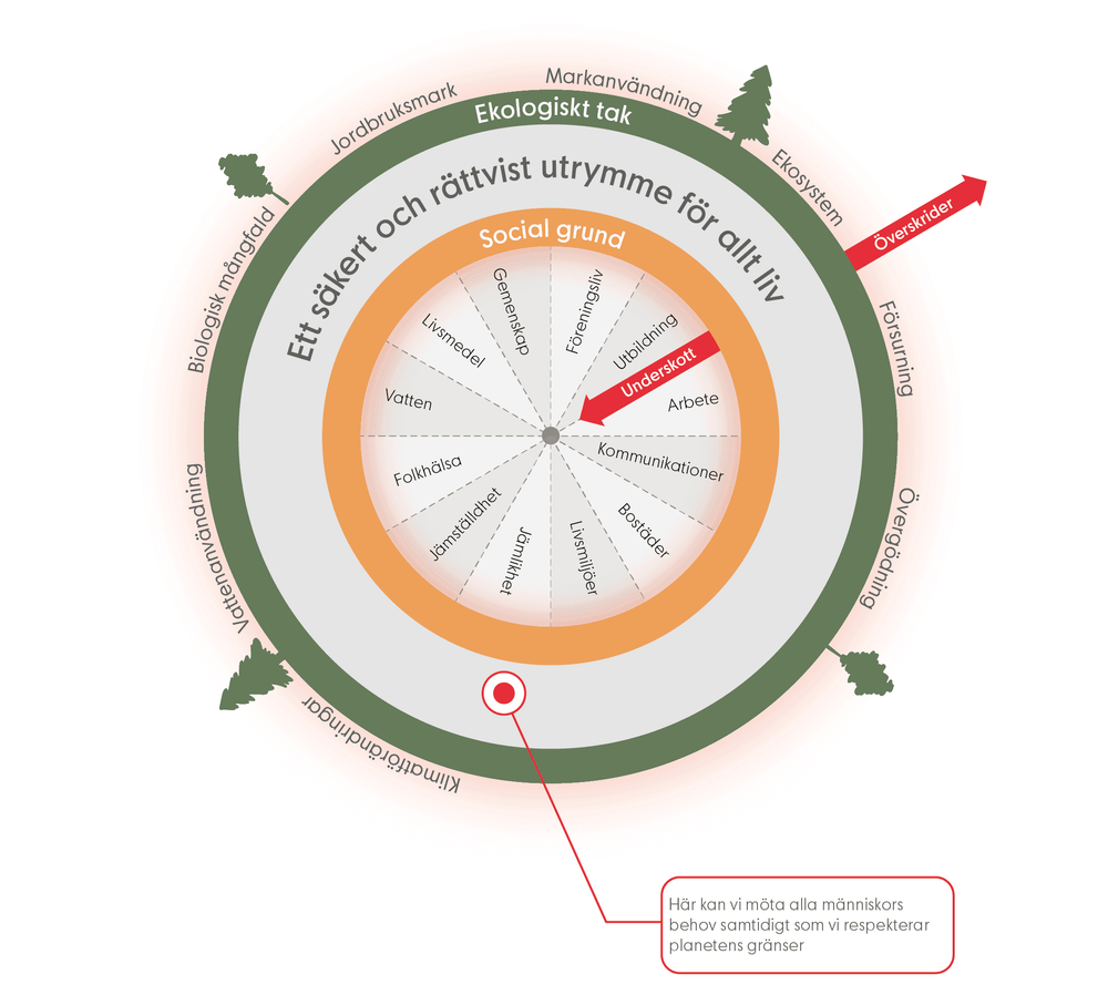 Illustration som visar de tre hållbarhetsdimensionerna i en cirkelmodell, med en social grund som den innersta cirkeln med aspekter som livsmiljöer, bostäder, folkhälsa och livsmedel. En yttre ring som visar det ekologiska taket med bland annat ekosystem, markanvändning och klimatförändringar. När vi överskrider det ekologiska taket leder det på sikt även till ett underskott i den sociala grunden. Mellan dessa finns ett säkert och rättvist utrymme för allt liv där vi kan möte människors behov samtidigt som vi respekterar planetens gränser. 