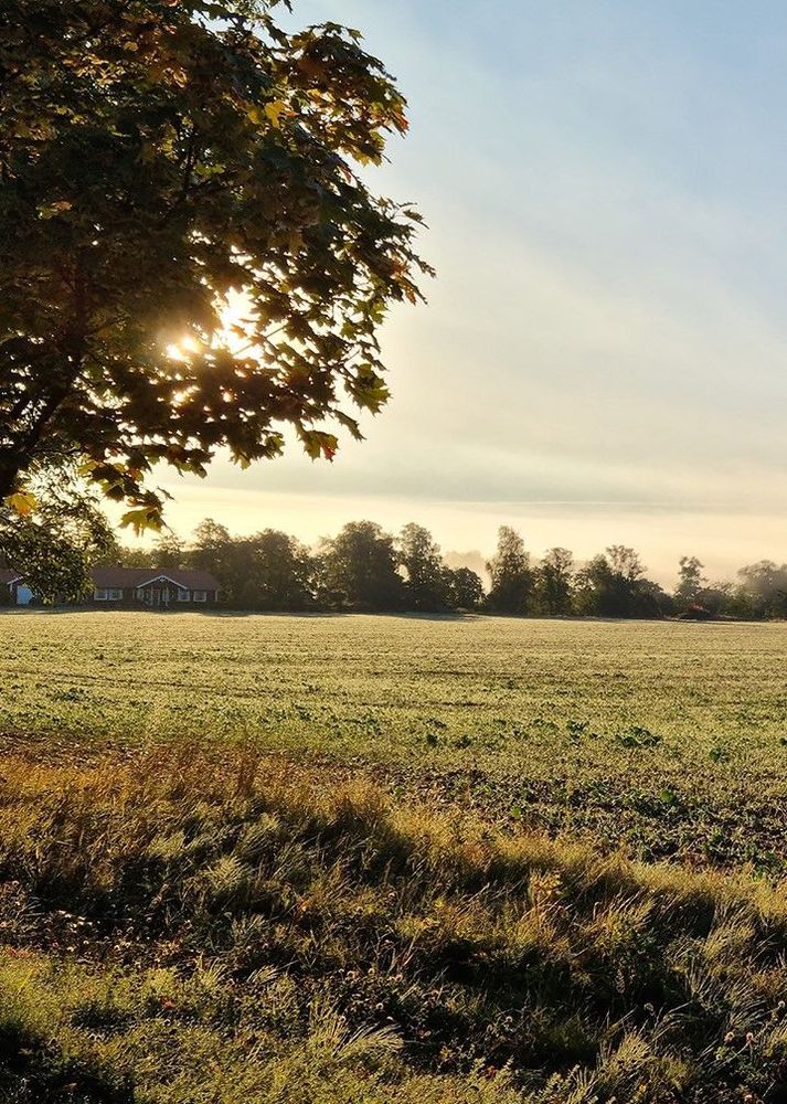 Foto på landskapsrum med utblick över jordbruksmark