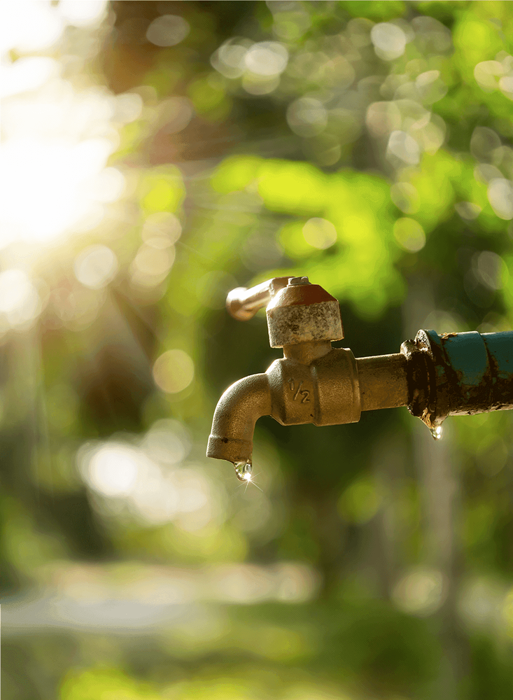 Foto på droppande kran